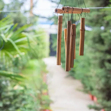 Todorovi Stara Zagora