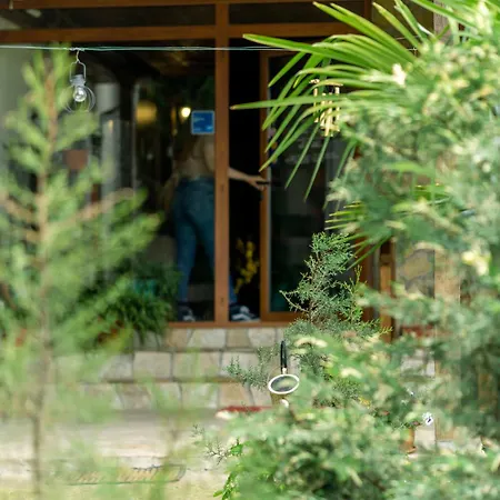 Pensión Todorovi 3*